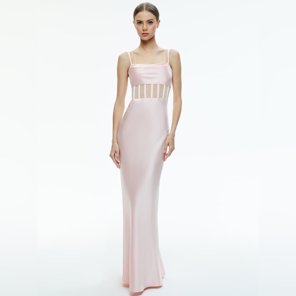 NWT Sz 6 Alice + Olivia Valentina Draped Corset Light Pink Maxi Dress